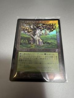 mtg ペンデルヘイヴン　foil 日本語 mtg ペンデルヘイヴン foil 日本語