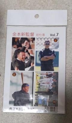 金本知憲監督 初仕事 虎フォト生写真2015