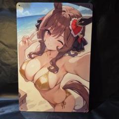 ウマ娘プリティーダービー ジェンティルドンナ 水着 メタル
