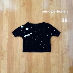 ミナペルホネンmina perphonen☆startripブラウス☆36