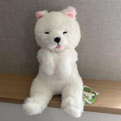 へそ天　秋田犬　コンパクト　JB　ぬいぐるみ　オフホワイト　(べー)