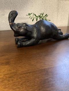 何故か不思議でキュートなゾウくん です。ゾウくんも猛暑にバテたゾウ ポーズ!