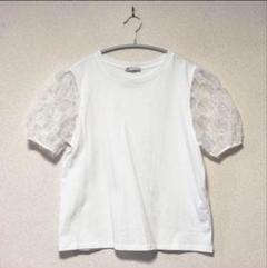 【美品】Zara パフスリーブ シアー 半袖 Tシャツのサムネイル