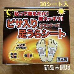 レミントン 遠赤足うらシート一体型 30枚入り : K-STORE-Y