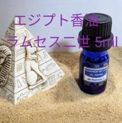 彫像ラムセス2世胸像 書棚 リビングテーブル 装飾品 現代工芸品 美術品 置物 彫像ラムセス2世胸像 書棚 リビングテーブル 装飾品 現代工芸品