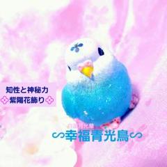 特級幸福呪物『∽幸福青光鳥∽』金運　恋愛成就　曰く付き　霊石　座敷わらし　子宝のサムネイル