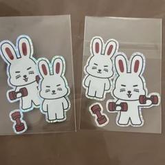 MINITEEN CHOITCHERRY エスクプス セット MINITEEN ミニティーン アクキー エスクプス CHOITCHERRY最低