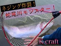 蛇尾川チャレンジ4本セット㉚ K-craftネジングルアー - メルカリ