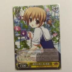2025年最新】迷宮 蒔菜の人気アイテム - メルカリ