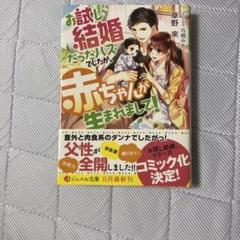 お試し結婚だったハズでしたが、赤ちゃんが生まれまして!
