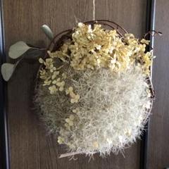 まんまるスモークツリー　直径25cm リースのサムネイル
