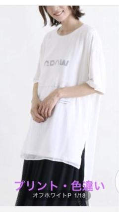 SCOTCLUB(スコットクラブ) Soeur7シースループリントTシャツのサムネイル