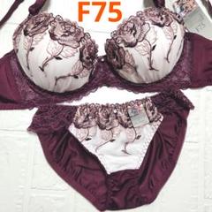 【新品未使用】格安！ブラショーツセット F75 941401 ボルドー 綺麗
