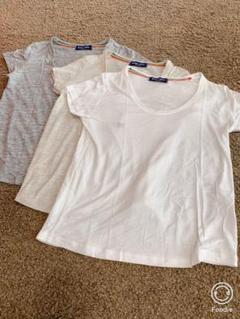 Ritmo Latino イタリアブランド Tシャツ3枚セット