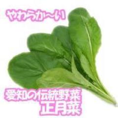 まき時!正月菜(餅菜)60粒愛知伝統【固定種】尾張地方の武士たちの縁起物