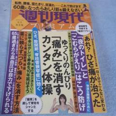 週刊現代別冊 週刊現代プレミアム 2022 Vol.4 ひざ、股関節、脊柱管狭…のサムネイル