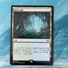 霧深い雨林　3枚セット Foil】《霧深い雨林/Misty Rainforest》[ZEN] 土地R | 日本最大