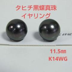 黒蝶真珠 イヤリングの中古/未使用品 - メルカリ 価格は安く 10.3-10.4㎜ 送料無料 新品 K14WG イヤリング タヒチ黒蝶真珠 イヤリング