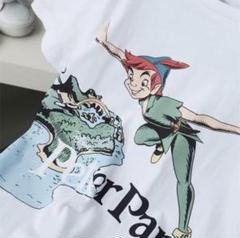 ⭐️ディズニーワールド　ピーターパン　キッズTシャツ　110cm