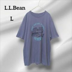 エルエルビーン　半袖　Tシャツ　オーバーサイズ グラフィック　ブルーグレー　L