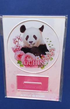 アドベンチャーワールド アクリルスタンド（セット） アドベンチャーワールドグッズ✨ 🐼🧡🐼🧡🐼🧡🐼 可愛い和歌山の