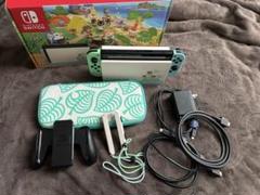 【ケース、SDカード付き】Switch あつまれ　どうぶつの森セット