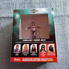 2025年最新】Wwe asuka アスカの人気アイテム - メルカリ