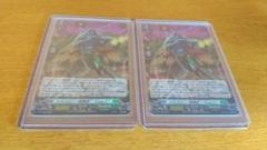 ヴァンガード　メガコロニー戦闘員⁺ “Type.C” 10枚 メガコロニー戦闘員_Type.C【Re】{DZ-SS11/Re30}《ストイケイア