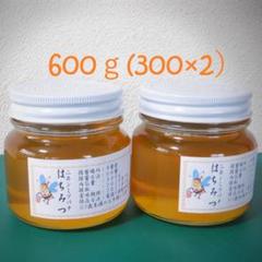 9月採取の日本蜜蜂の蜂蜜 z610024.jpg