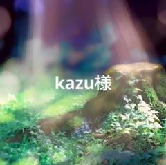 KAZU様 リクエスト まとめ商品 Kaz様 リクエスト 3点 まとめ商品 - メルカリ