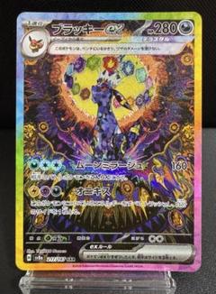 極美品】中国語 ブラッキー ex sar Ⓒ 217/187