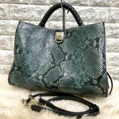 美品　Mulberry　マルベリー　アイリス　パイソン　2wayショルダーバック 美品 Mulberry マルベリー アイリス パイソン 2wayショルダー