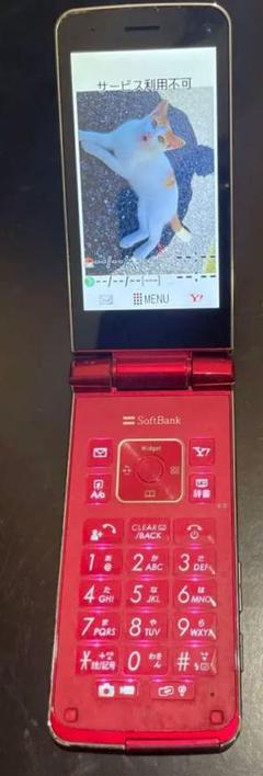 A50 ワンセグ　Softbank 防水ケータイ　携帯電話　ガラケー本体