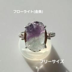 ☆展☆ブラックチャロアイト×バイカラーフローライト金魚