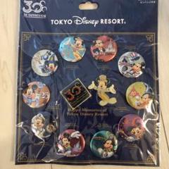 ディズニー ピンバッジ】東京ディズニーリゾート ポリスワゴン