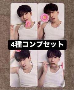 ジョシュア seventeen DEAR 封入トレカ 4種コンプセット×30 ウォヌ seventeen セブチ DEAR 封入トレカ 4種コンプセット