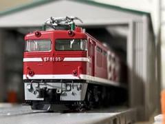 Amazon | TOMIX Nゲージ EF81 95号機 レインボー塗装 9145 鉄道