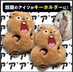 キーホルダー マーモット ストラップ ぬいぐるみ マモケツ 2個組 ふわふわ