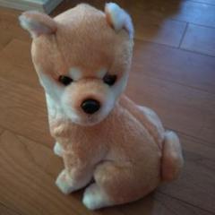 犬のぬいぐるみ