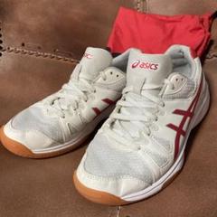 極美品✨️高校体育館シューズ　ASICS TSY102 24.5cm 専用袋付き