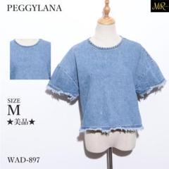 ★美品★ ペギーラナ カットソー デニム 半袖 ダメージ加工 ヴィンテージ 春夏