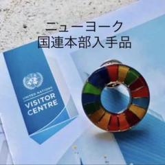 【国連本部入手品】SDGs ピンバッジ 10点【訳あり商品】 国連本部入手品】SDGs ピンバッジ 10点【訳あり商品】
