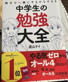 道山ケイ　中2子育ての教科書、他　全4冊 中2子育ての教科書 道山ケイ