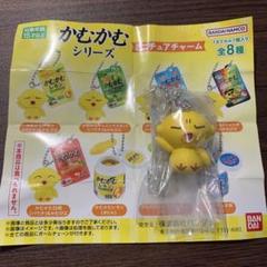 かむかむ出品. 2025年最新】かむかむの人気アイテム - メルカリ