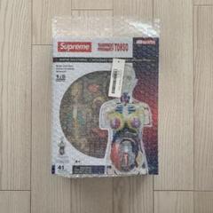 supreme Female Anatomy Model