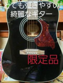 アコギ アコースティックギター ハミングバード