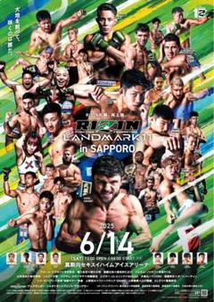 2025年最新】RIZIN ポスター b2の人気アイテム - メルカリ