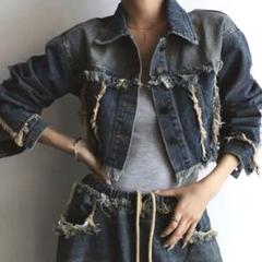 デニムJK aclent emoda felim moussy evris