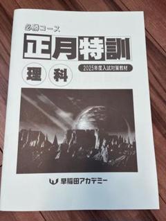 未使用品！NN早稲田クラス 2024-2025 正月特訓教材4冊セット NN早稲田 テキスト 最新