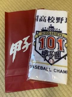 甲子園101回大会 大会タオルのサムネイル